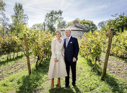 Los reyes posaron en el viñedo y lograron una postal soñada (Foto: Instagram @koninklijkhuis)