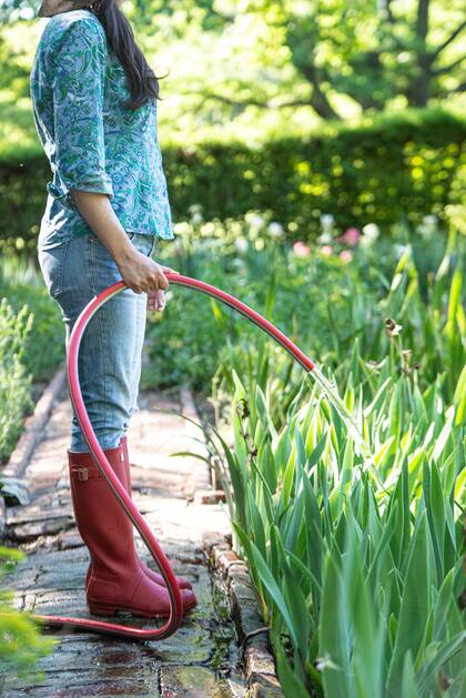 Los riegos son fundamentales durante la temporada cálida. Deberán ser profundos y regulares.