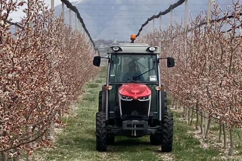 Armenia, tierra de oportunidades: el campo como motor económico en medio de desafíos globales