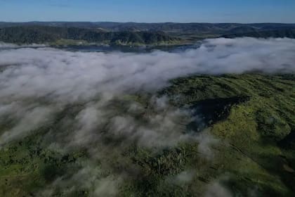 Los ríos atmosféricos transportan vapor de agua a lo largo de la selva