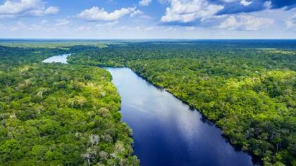 Los ríos voladores cruzan velozmente la atmósfera transportando agua en forma de vapor desde el océano Atlántico y la Amazonía hasta el sur de Brasil, norte de Argentina, Uruguay y Paraguay