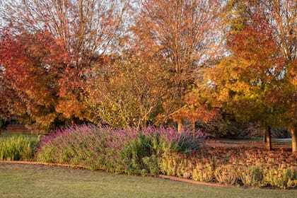 Los rituales de otoño sirven para renovar energías