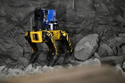 Los robots pueden ayudar en el manejo seguro de residuos nucleares en caso de un incidente.