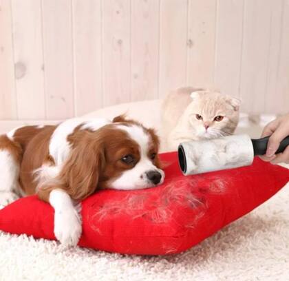 Los rodillos adhesivos son una gran opción para limpiar los pelos de mascota de almohadones, sillones y ropa