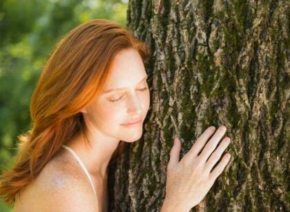 Los sacerdotes celtas desarrollaron un horóscopo basdo en los árboles