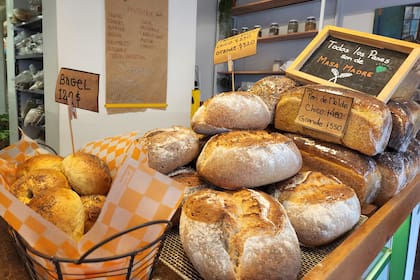 Los sándwiches veganos dicen presente con esta propuesta