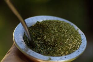 Los secretos del mate