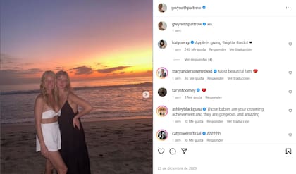 Los seguidores de Gwyneth Paltrow aseguraron que su hija se parece a la actriz Brigitte Bardot (Foto: Instagram @gwynethpaltrow)