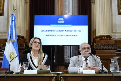 Los senadores Carolina Losada y Juan Carlos Pagotto, en la reunión de las comisiones de Seguridad Interior y Narcotráfico y de Justicia y Asuntos Penales