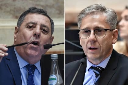 Los senadores De Angeli (Pro) y Vischi (UCR) auxiliaron al Gobierno para que no se trate la interpelación de Karina Milei por $LIBRA