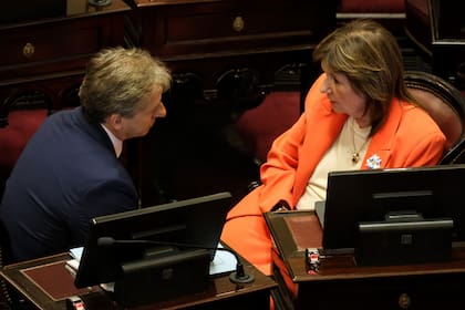 Los senadores Eduardo Vischi (UCR) y Patricia Bullrich (LLA) durante el tratamiento del proyecto de reforma laboral en el Senado