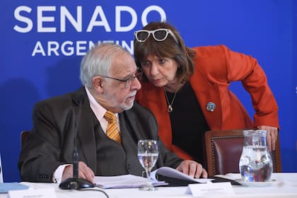 Los senadores Juan Carlos Pagotto y Patricia Bullrich, en la comisión en la que se evalúan los pliegos judiciales