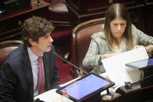 Los senadores Lousteau y Tagliaferri