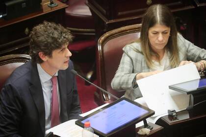 Los senadores Lousteau y Tagliaferri.