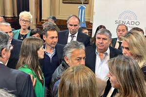 Senado: oficialismo y oposición exigen el esclarecimiento del intento de magnicidio contra Cristina