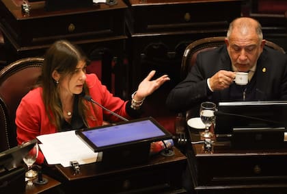 Los senadores Tagliaferri y Juez