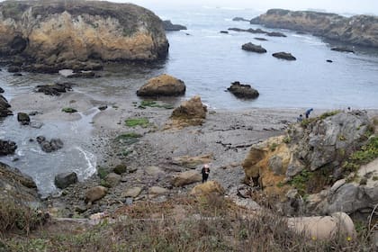 Los senderos para acceder a la costa de Glass Beach son de difícil acceso