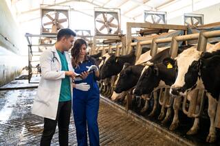 La reemergencia de zoonosis obliga a abordar la salud animal, humana y de los ecosistemas como una sola