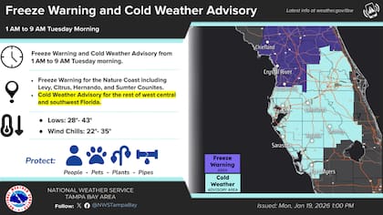 Los servicios meteorológicos advierten sobre la extensión de una ola de frío que afecta a prácticamente todo el estado de Florida