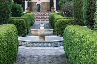 En una esquina de barrio, un refugio demasiado paradisíaco para llamarse jardín