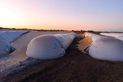 Los silobolsas fueron encontrados así esta mañana