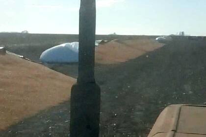 Ayer hubo más roturas de silobolsas en Murphy, cerca de Venado Tuerto