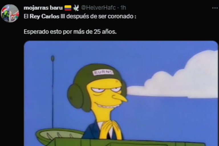 Los Simpson estuvieron presentes en los memes (Captura Twitter)