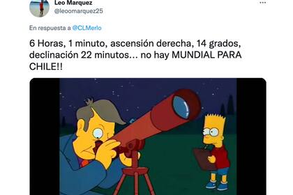 Los Simpson no faltaron en los memes contra Chile