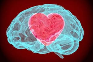 Una neuróloga explicó cómo funciona un cerebro enamorado