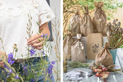 Los sobres de papel madera, rotulados con el nombre de la planta y el año, que salen a la venta