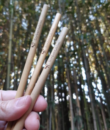 Los sorbetes de bambú pueden reutilizarse hasta tres años y su degradación, en contacto con el suelo y un entorno orgánico, se efectúa en un periodo de entre cuatro a seis meses