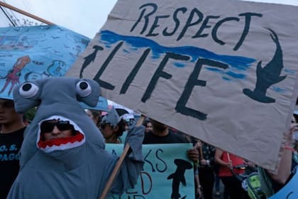 Los subsidios a la pesca amenazan los ecosistemas marinos