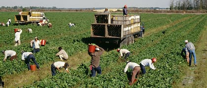 Los sueldos se efectúan según el mercado, estado y niveles de habilidad