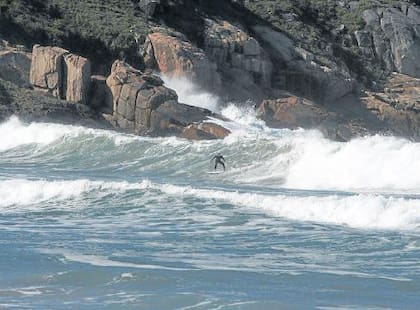 Los surfistas son, desde siempre, el público más fiel de Rosa