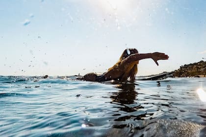 Los surfistas tienen mayor riesgo de ser atacados por estos animales
