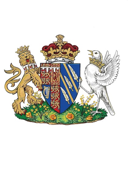 Los Sussex recibieron muchas críticas por sumar a la web, además de la coronita, el escudo de armas de Meghan, enfatizando su status royal, pero sin mencionar a la familia real.