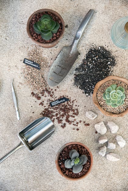 Los sustratos tienden a compactarse y retener demasiada humedad, por eso es importante incorporar piedritas en las suculentas