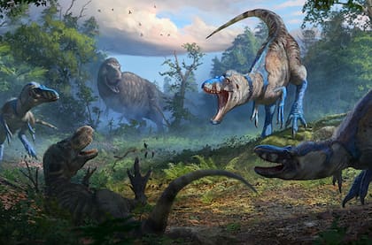 Los T-rex y otros terópodos carnívoros, como los abelisáuridos y los carcharodontosáuridos desarrollaron más sus cráneos que sus brazos, por lo que perdieron fuerza y tamaño en el proceso de evolución