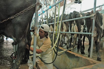 Para Mas, la principal preocupación de los productores, chicos, medianos o grandes, es que en el corto plazo van a necesitar financiación equivalente a una liquidación, es decir, un mes de leche