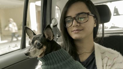 Los taxis sólo pueden llevar perros lazarillos, pero las remiserías o servicios online suelen ser más permisivos