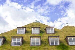 10 techos verdes y jardines verticales para inspirarse