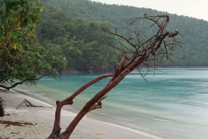 Los territorios que Estados Unidos compró a lo largo de su historia para formar el país que es ahora