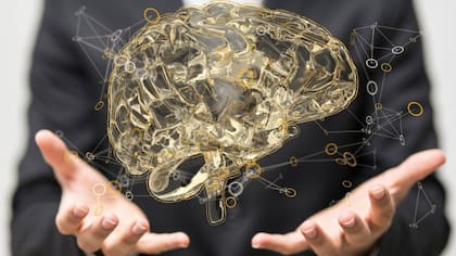 Los tests de personalidad permiten descubrir más sobre uno mismo