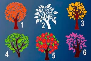 Elige uno de estos seis árboles y te revelará cómo te ven los demás