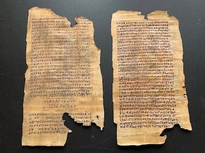 Los textos originales que publicó el creador de contenido (Foto: X @nickdifabio1)