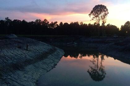 Los tiburones bebés y jóvenes vivían en la guardería hasta que llegaba el momento de animarse a migrar hacia las aguas profundas del oceáno