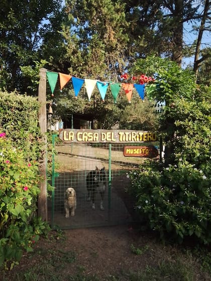 Los títeres y muñecos que hay en La casa del titiritero (Foto: Cecile Charré)