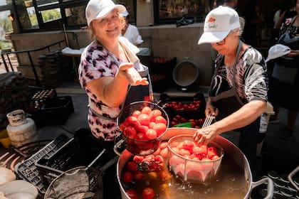 Los tomates se lavan en agua fría para quitar toda la suciedad