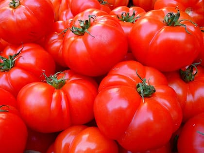 Los tomates son conocidos por su alto contenido de licopeno (Foto ilustrativa: PIXABAY)