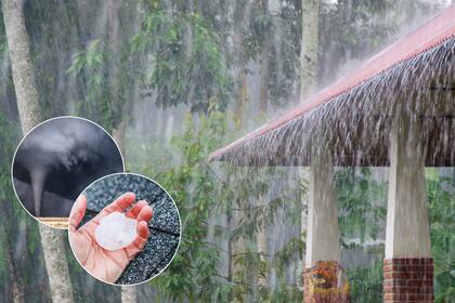 Los tornados pueden desarrollarse en cuestión de minutos y causar destrucción a su paso, con daños en casas, postes de luz y árboles (Archivo)